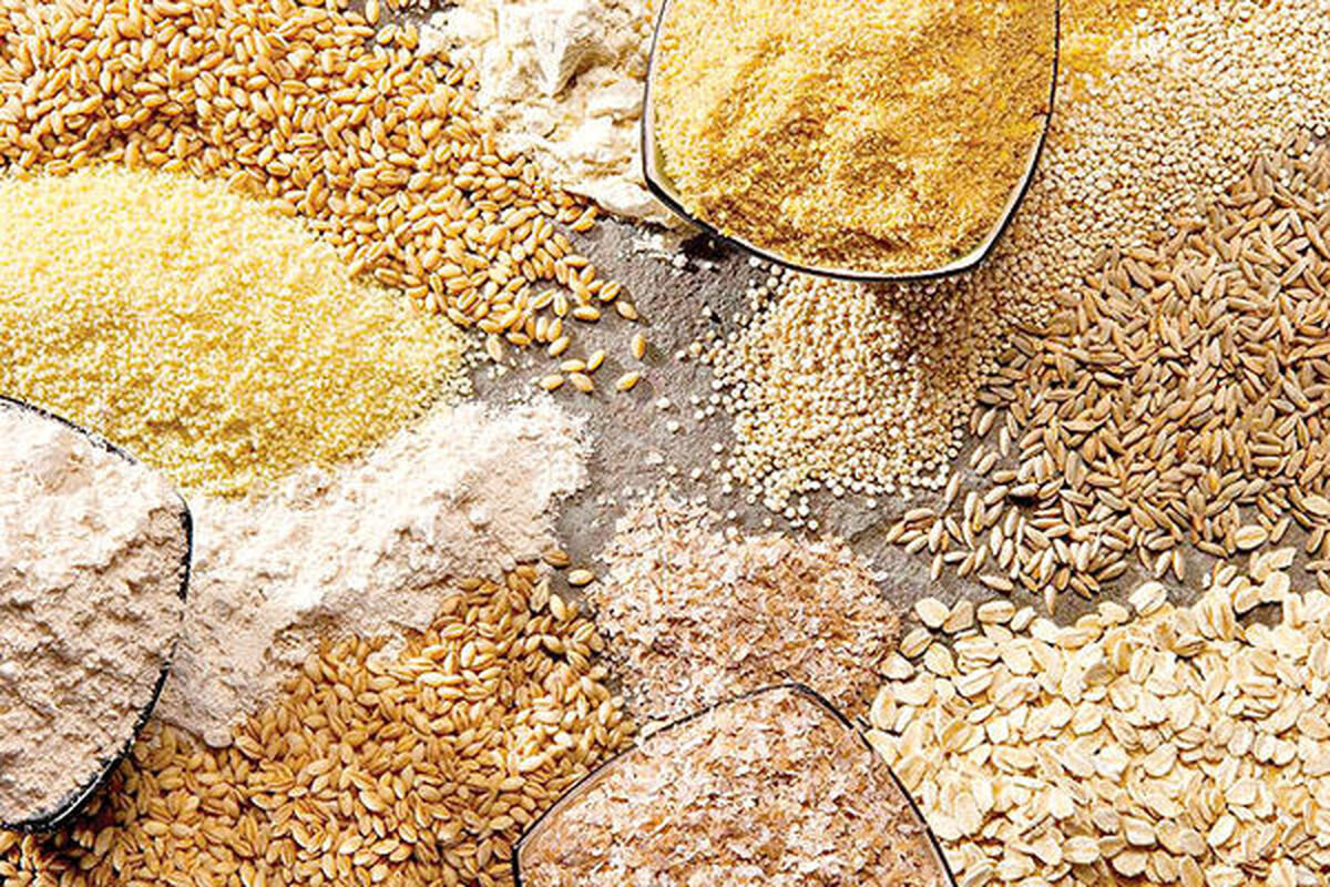 آقای رئیس‌جمهور! تأخیر پرداخت ارز نهاده‌های دامی ۹ ماهه شد