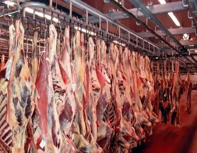 شهرخبر - قیمت گوشت قرمز امروز یکشنبه ۴ خرداد ۱۴۰۴/ ماهیچه گوسفندی چند؟ + جدول