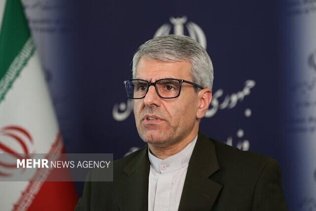 بقائی: مبنای کار مذاکرات «تعهد در مقابل تعهد» است